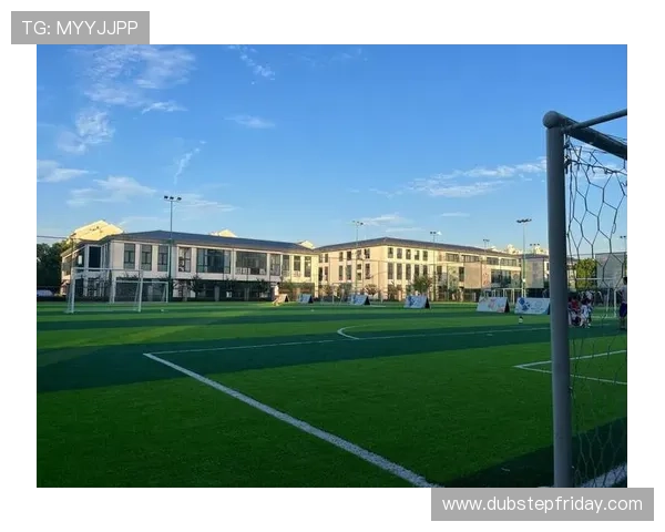 爱体育入口提供专业运动指导，助你科学训练提升运动水平